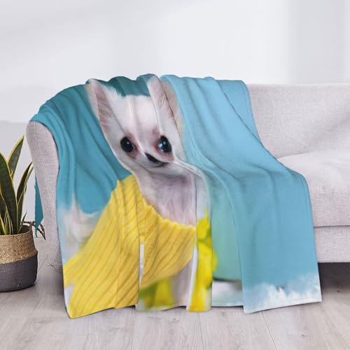 Couverture lit microfibre chihuahua légère et douce pour canapé