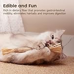 Katzenminze Sticks, 3 Stück Katzen Kauhölzer Sticks für Katzen Zahnpflege & Gegen Mundgeruch Natürlich Sicher Katzensticks Kausticks – Bild 4