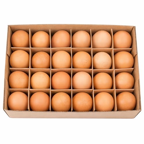 NaDeco Hühnereier Braun Natur 24 Stück ausgeblasen & gereinigt Ostereier Ostern Osterdeko Deko Dekoration Osterdekoration Hängedeko Dekoeier zum basteln & bemalen mit Öffnung zum Aufhängen