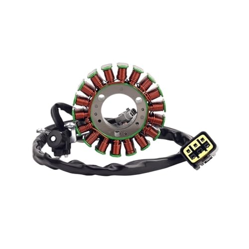 Bobine d'allumage de stator haut de gamme pour WR250R moto