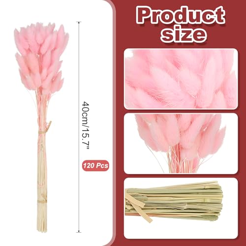 Herbe de Pampa Queue de Lapin Rose Premium PATIKIL 120pcs