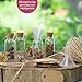 WeddingTree 60 x 11ml Botella de Vidrio Mini Imagen de WeddingTree 60 x 11ml Botella de Vidrio Mini