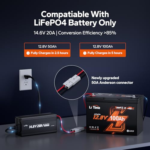 Image of LiTime 12V 20A Lithium Battery Charger, 14.6V Output AC-DC, 0V Activation
