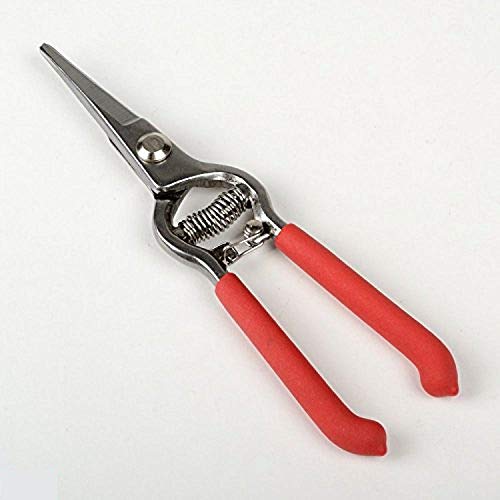 Tijeras para podar uvas 8" con mango suave miniatura 1