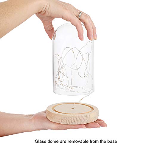 Lamparas De Vidrio Transparente - Las Mejores 2021