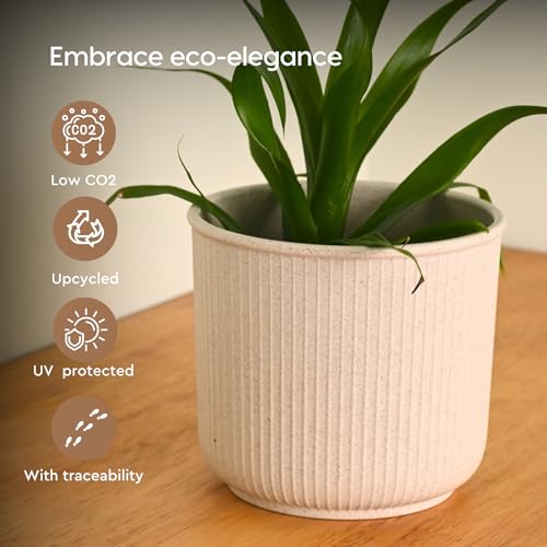 Image of Eha Earth Friendly Statement Pot 4 Inch Pots and Planters with Growmix |Set of 2| Table Top Planters for Gifting |Bamboo Based | Planter for Indoor & Balcony Window Flower Pots| Sand Castle