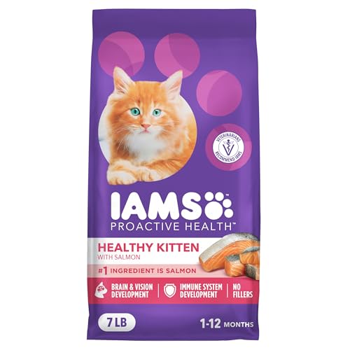 IAMS Salmon Recipe Healthy Kitten Food
