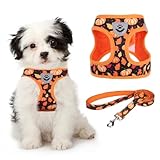 KOOLTAIL Fall Dog Harness and Leash Set for Small Medium Dogs, Thanksgiving Step in No Pull Comfort Padded Pet Vest, Adjustable Reflective Easy Walking Puppy Cats Harness Training, Leaf & Pumpkin S