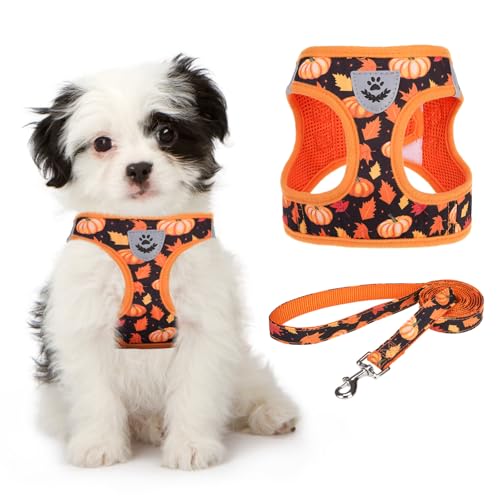 KOOLTAIL Fall Dog Harness and Leash Set for Small Medium Dogs, Thanksgiving Step in No Pull Comfort Padded Pet Vest, Adjustable Reflective Easy Walking Puppy Cats Harness Training, Leaf & Pumpkin S