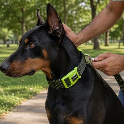 Image of Wooflix Premium Adjustable Dog Collar for Small, Medium & Large Breed Dogs | Heavy Duty Nylon Dog Neck Belt with Strong Buckle & D-Ring for Walking, Training & Daily Use (Green, Medium)