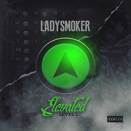Best Stick Smokers