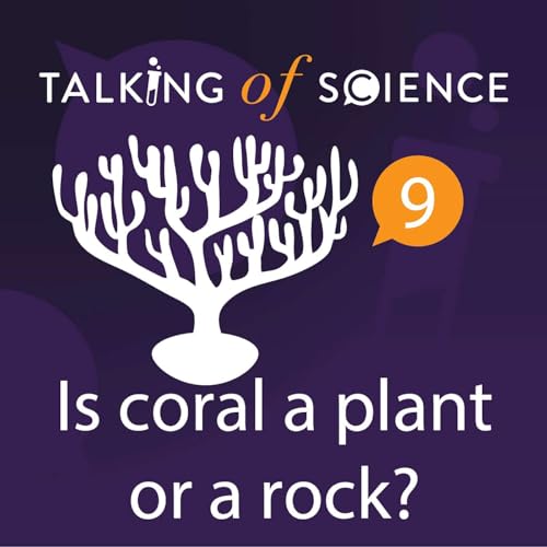 Is coral a plant or a rock?