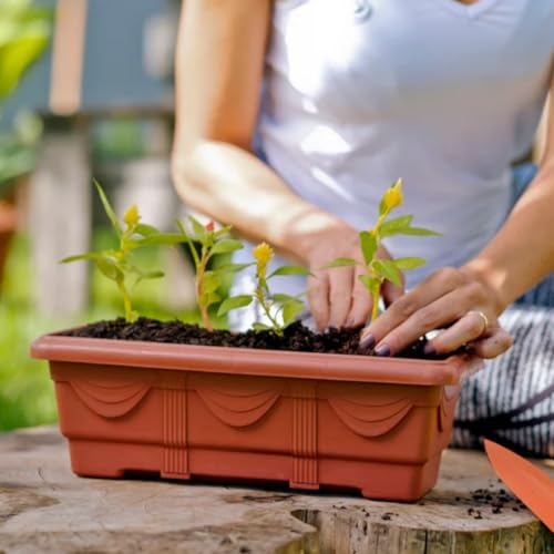 Fertilizante 4 em 1 Torta Mamona + Farinha Osso + Humus + Carvão Vegetal 1kg - Nutriplan