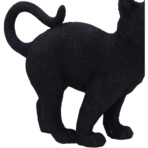 Nemesis Now Moonlight Watcher - 15cm Black Cat Ornament, Cast in Finest Resin, Expertly Hand-Painted - Cosy Home Interiors Nemesis Now Moonlight Watcher - 15cm Black Cat Ornament, Cast in Finest Resin, Expertly Hand-Painted - Image 3