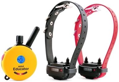 E-Collar 2 Dog Mini Educator 1/2 Mile Remote Dog Trainer + FREE INCLUDED Bungee E-Collars by Educator