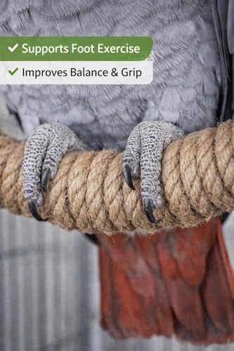 Image of KSK Natural Jute Rope Bird Swing for Medium & Large Parrots | Strong Wooden Perch Hanging Swing Toy | Cage Accessory for African Grey, Amazon, Cockatoo, Macaw