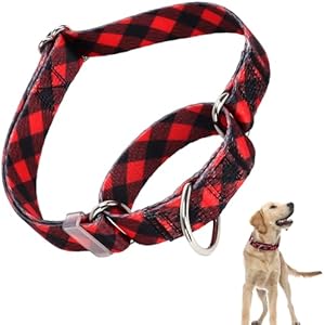 ONEFOJOJO Martingale Collar for Dogs, with Special Red Buffalo Plaid Design for Large Medium Small Dogs, Adjustable Premium No Slip Collar for Girl Boy Dogs and Puppy (S) 19 S (Neck 12"-17")