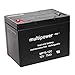 Piombo batteria al Gel MP75-12C 12 V 75Ah AGM-in Tessuto non Tessuto tecnica Pegasus roll sedie E-sedia a rotelle Elektro Mobil Heartway Aviator 15 km/A 24 V 2 x 12 V E monopattino SMART CELL di continuità per APC MATRIX 5000 RBC13 RBC14 Accu batteria originale Bateria batteria