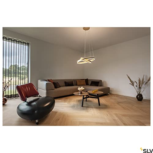 Ficha técnica Luminaria de suspensión ONE DOUBLE PHASE up/down Lámpara de salón iluminación de interior luminaria de techo 2700/3000 K 35 W 1230/1270 lm latón regulable - Fernando Cortés Ficha técnica Luminaria de suspensión ONE DOUBLE PHASE up/down Lámpara de salón iluminación de interior luminaria de techo 2700/3000 K 35 W 1230/1270 lm latón regulable - Fernando Cortés