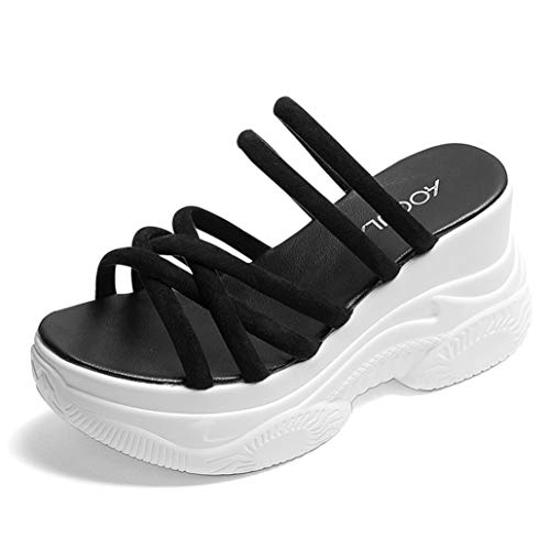 [HGJH] ~[ 24.5cm T_ X|[cT_fB[X  Xj[J[T_ I[vgD bVNbV ɂ  r 傫TCY ʊw ʋ Xj[J[ ₷   ubN  X|[c~[