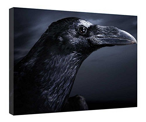 Impression sur toile oiseau noir avec cadre en bois | Tableaux nature 40x50 cm