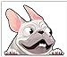 Biomar Labs® 1 x Vinilo Autoadhesivo French Bulldog Frances Perro Dog Pegatina para Coche Etiqueta Sticker Moto Ventana Puerta Casco Scooter Bici Motocicleta Tuning B 226