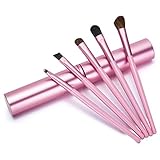 Aisxle 5 Piece Eye Makeup Brush Kit - Beauty and Travel Set - All In One - Soft Bristles and Easy to Carry - Easy to Use - Professional Eyeshadow Brush Makeup Kit - Full Set of Eye Brushes Whenever You Need Them - Perfect for Smokey Eye and More - Satisfaction Guaranteed