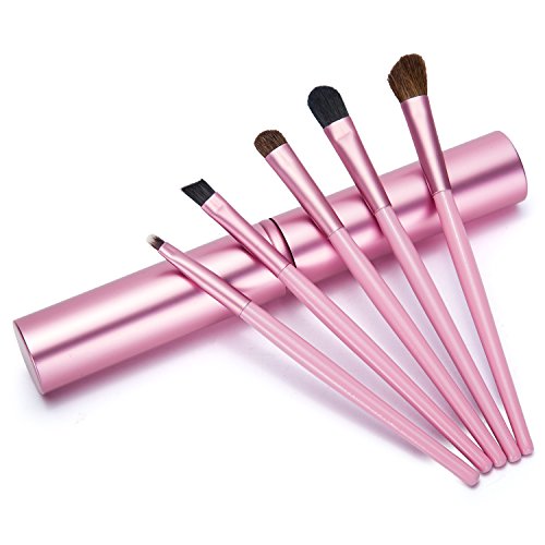 Aisxle 5 Piece Eye Makeup Brush Kit - Beauty and Travel Set - All In One - Soft Bristles and Easy to Carry - Easy to Use - Professional Eyeshadow Brush Makeup Kit - Full Set of Eye Brushes Whenever You Need Them - Perfect for Smokey Eye and More