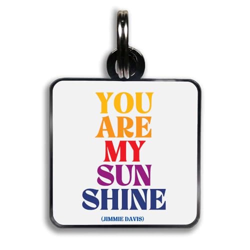 Quotable Pet Collar Charm You Are My Sunshine