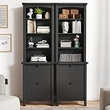Bookshelf with File Storage Cabinet Set of 2 BSF052