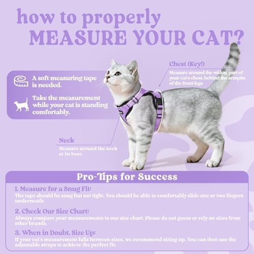 Image of rabbitgoo Cat Harness and Leash Set, Escape Proof Vest, Light Purple | Soft Breathable Mesh, Easy Adjustable Fit, Snap Buckles, Sturdy Clip, Reflective Strips, for Small & Average Cats Walks, Xs