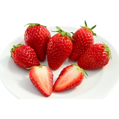 いちご(みおしずく)2パック [NN001][2025年12月28日以降発送]