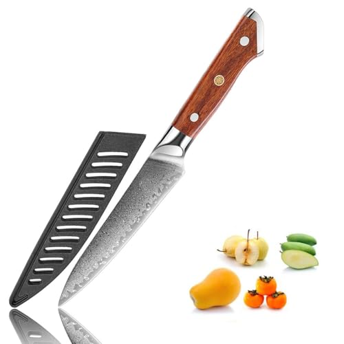 Irai Utaki 包丁 ペティナイフ 刃渡り120mm ダマスカスナイフ V金10号 鋼 口金付 ローズウッドハンドル 両刃 野菜や果物の皮むき 面取り ちょっとした調理に