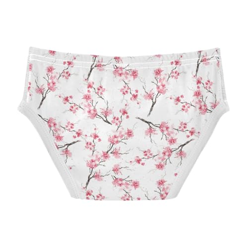 Boys' Exclusive Briefs Toddler Underwear 95% Combed Cotton Boxerbriefs 2T Cherry Blossom Pattern 552