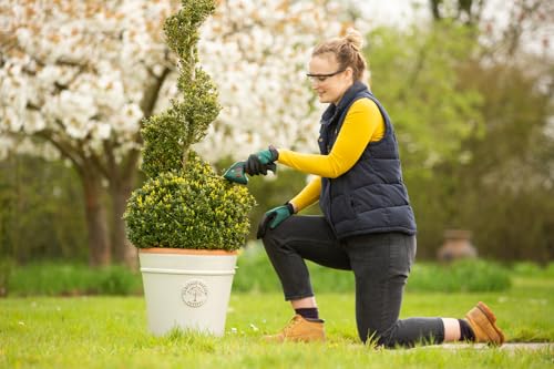 Cisaille taille herbes et sculpte haies sans fil avec 2 lames 8 et 12 cm - vue 8