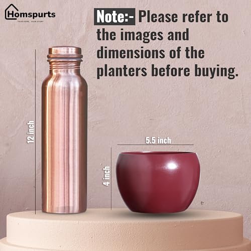 Image of Sunshine Elegant Matte Finished Dustfree Tabletop Red Flower Pot Planter | Metal Plant Pot for Indoor Succulent Plants, Living Room, Home Decor, Office, Restaurant