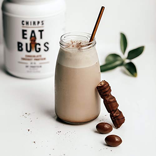 Chirps-Cricket-Protein-Powder-Blend-Made-with-Cricket-FlourCricket-Powder-and-Plant-Protein-Dairy-Free-Gluten-Free-Gut-Health-Keto-Protein-Powder