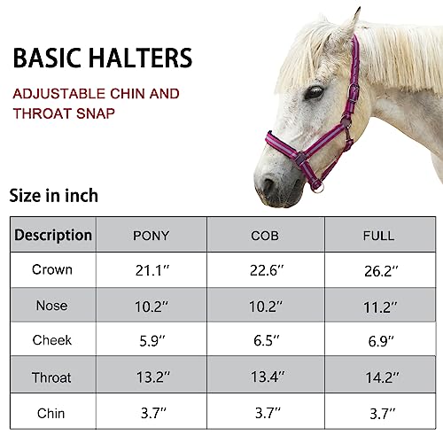 Gallopoff Cabides ajustáveis para cavalos – Correias e ferragens de nylon resistentes, acolchoadas c