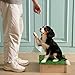 Dog Training Platform 11.81