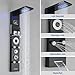 RUMOSE Matte Black Shower Panel Tower System, 5-Function Shower Faucet Set LED Light Rainfall Shower Head Digital Display with Massage Jets Tub Spout Shower Shelves, Stainless Steel, Wall Mount