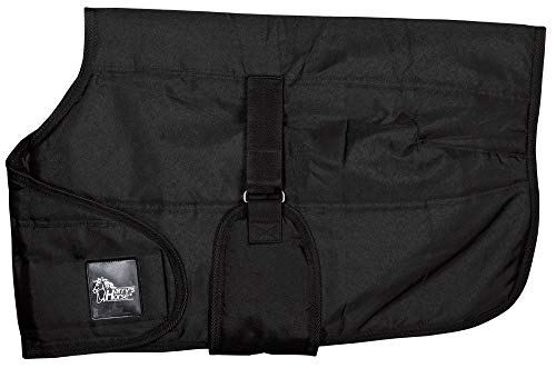 Couverture pour poulain stable respirante et résistante pour le box
