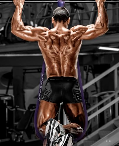 Image of HAPBEAR Pull Up Assistance Bands - Pull Up Bands - Resistance Bands - Exercise Bands Resistance Bands Set - Workout Bands for Working Out, Stretching, Muscle Training