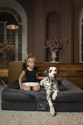 Image of NOAH & PAW XL Dog Bed, 45x35x11 Inch, Orthopedic Large Dog Beds, Eggshell Memory Foam Infused with Cooling Gel, Inner Cover, Water Resistant, Machine Washable (Faux Leather)