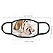 Produktbild Breathable Comfortable Fashion Sport Ma-sk,Sad and Tired Bulldog Laying Down European Pure Breed Animal Photography,Adjustable Mouth Face Ma-sk
