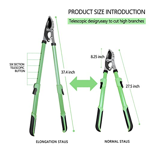 GARDENWORK 28-37" Metal Anvil Loppers,Hand Lopper for Tree Trimming,Garden Loppers & Pruners Heavy Duty with SK5 Blade,Bypass Loppers with Extendable Handles for Cutting 2in Tree and Shrub Care - Image 3