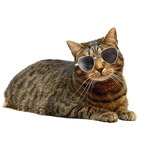 Set de 3 piezas disfraz mascota perro gato miniatura 6