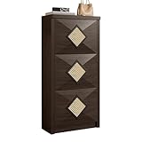 HAINEW Schuhschrank Schuhkipper mit 3 Klappen und Rattan Dekor, Schuhregal Schuhaufbewahrung, Rechteckiges Rattandekorativ, 54×25×115cm, Walnussfarbe, HNDE25120505