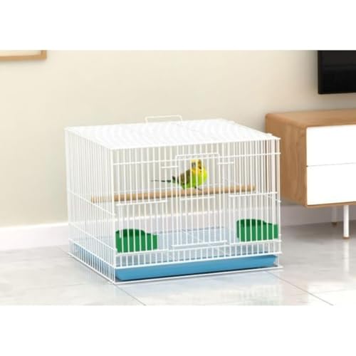 AOPIPI  XeX g |₷ ^pZLZCCR  {^CRΉ P[W (50*34*32 CM+x[VbNR[X,zCg)
