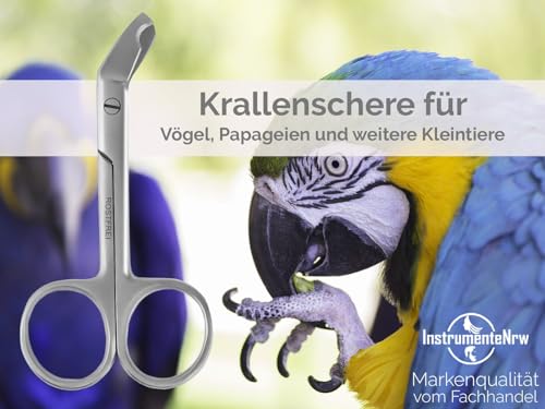 Vogel Krallenschere Krallenzange abgewinkelter Krallenschneider 9 cm - Krallen kürzen von Papageien Sittiche Wellensittiche Kleintiere - Rostfreier Edelstahl - Markenqualität vom Fachhandel