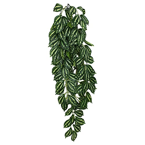 Multi Pet 48593306: Komodo Two-Toned Leaf Hanging Plant, Lg